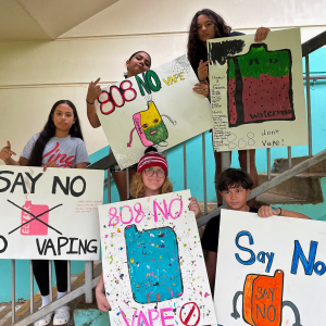 King - Vape prevention Jan NL